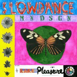 Cover of Slowdance