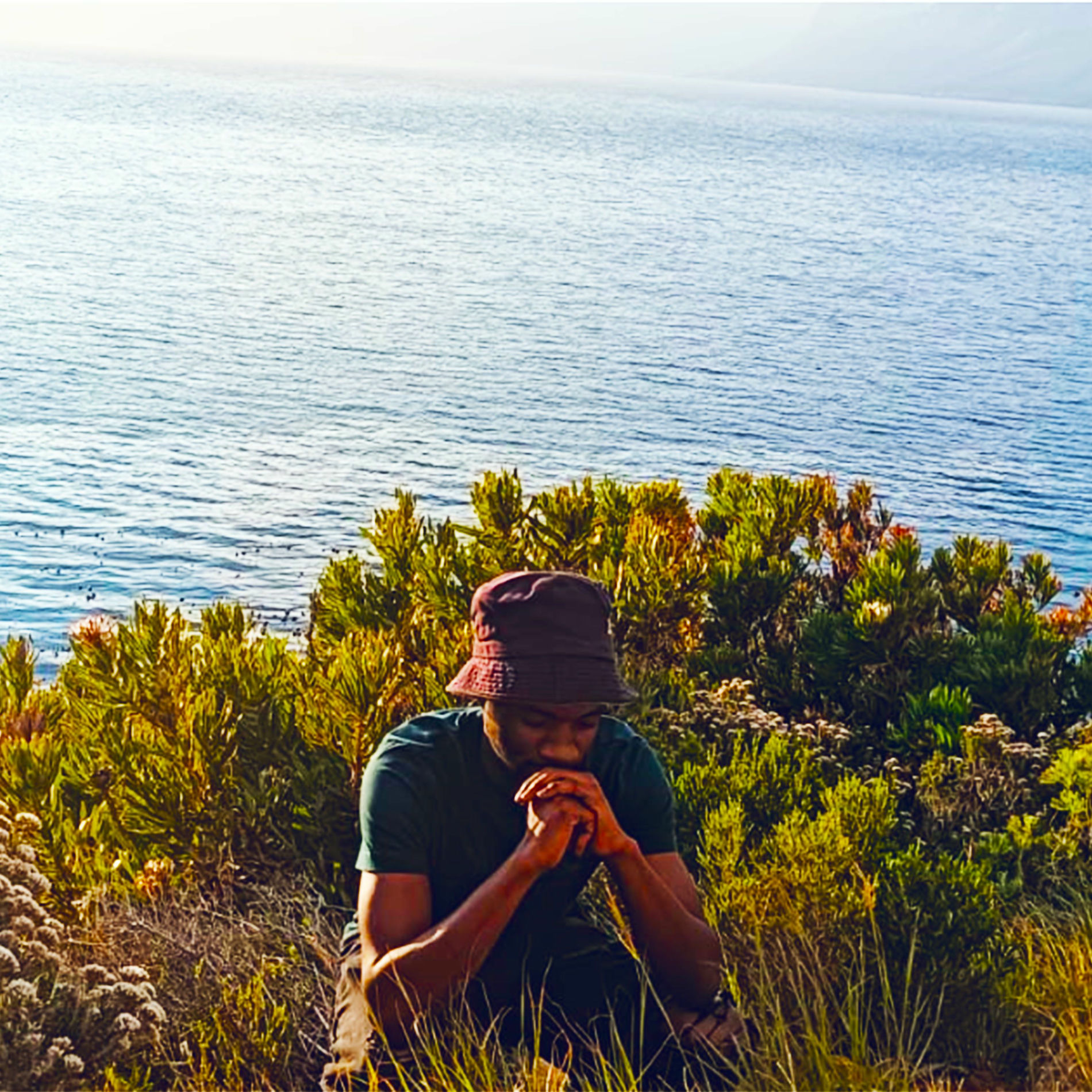 Album cover of Msansi
