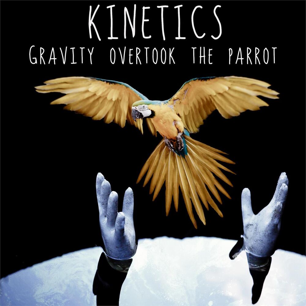 Picture of Gravity overtook the parrot
