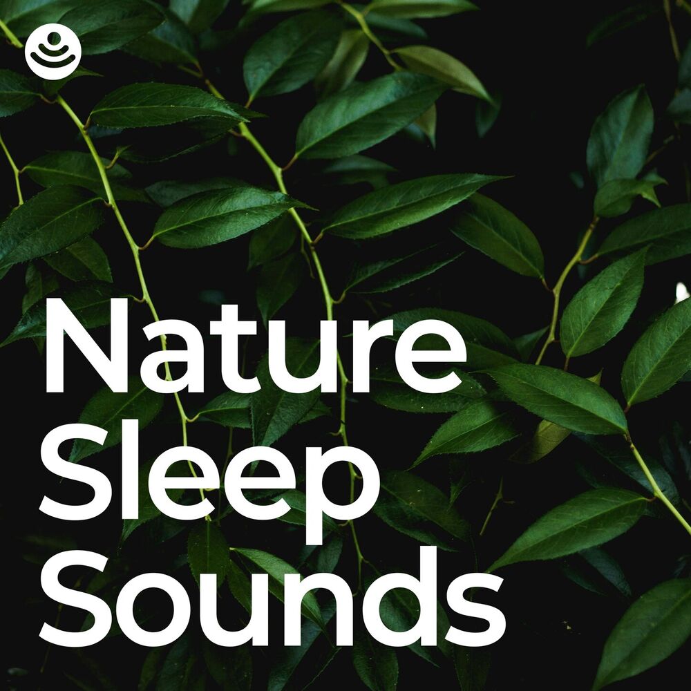 Picture of Nature Sleep Sounds