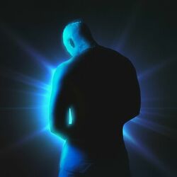 Cover of Fight