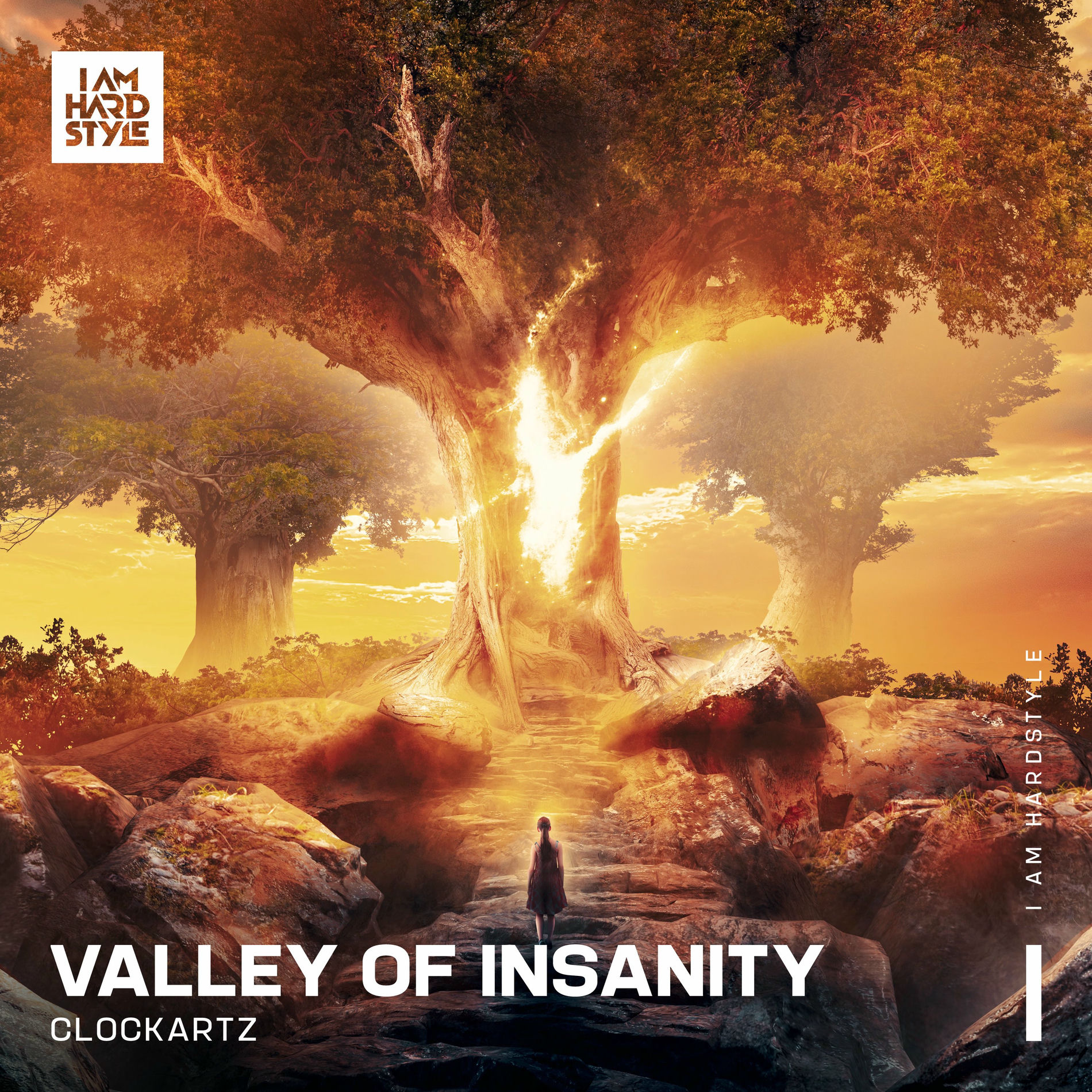 Album cover of Valley Of Insanity