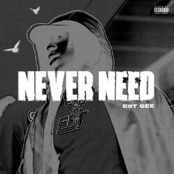 Cover of NEVER NEED