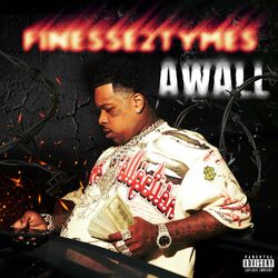 Cover of Awall
