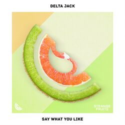 Cover of Say What You Like