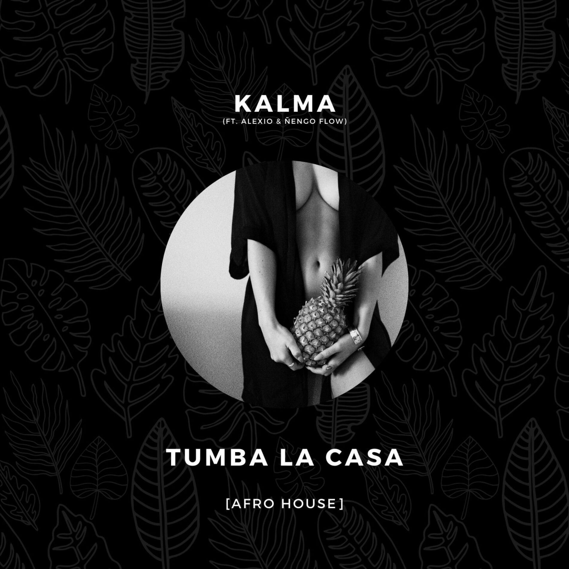 Album cover of Tumba La Casa (Afro House)