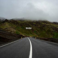 Cover of Tesla