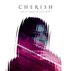 Cover of Self Destruction