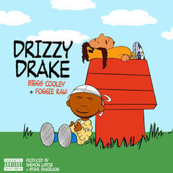 Cover of Drizzy Drake