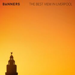 Cover of The Best View in Liverpool