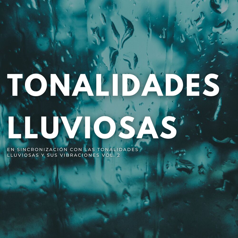 Picture of En Sincronización Con Las Tonalidades Lluviosas Y Sus Vibraciones Vol. 2