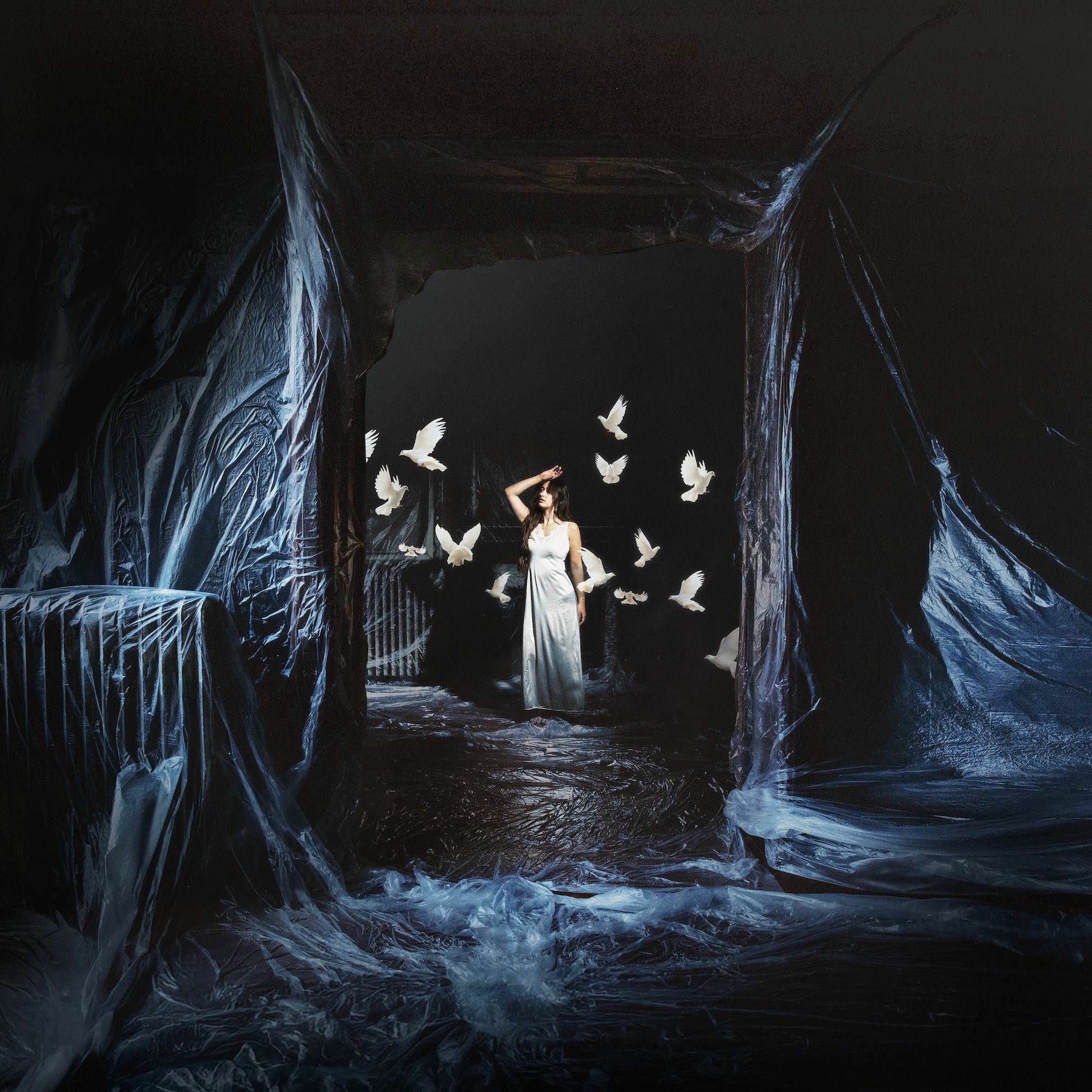 Album cover of Ghost Stories, Volume I