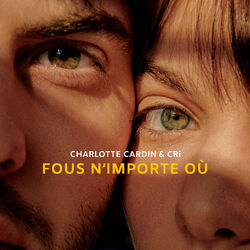 Cover of Fous n'importe où