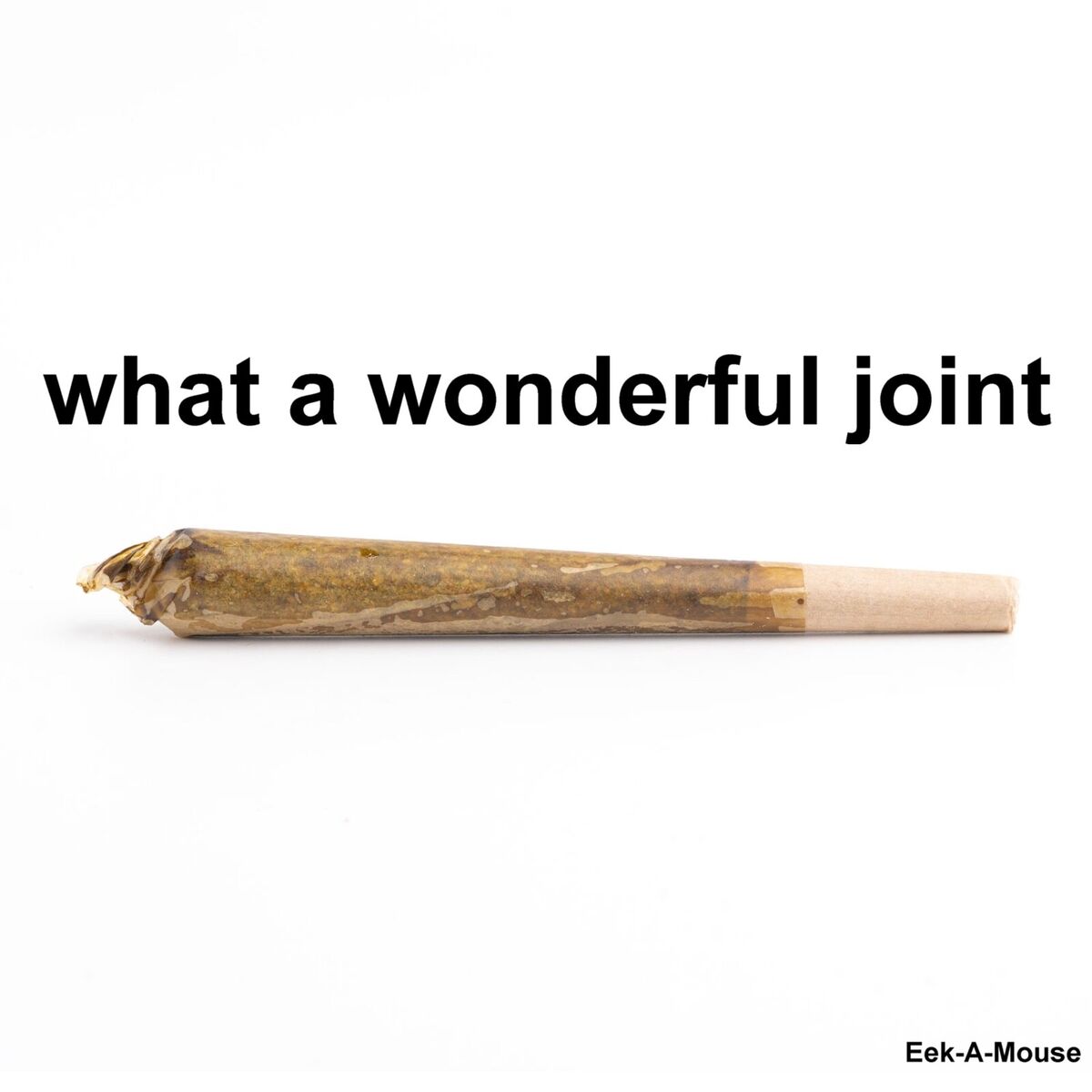 Album cover of What a Wonderful Joint