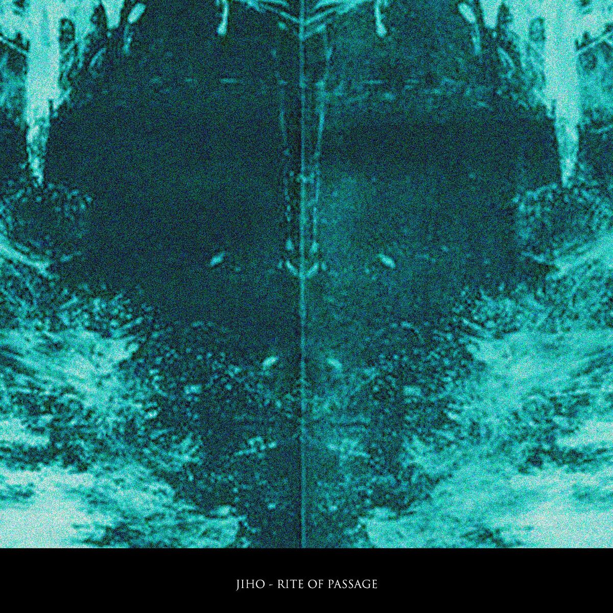 Album cover of Rite Of Passage