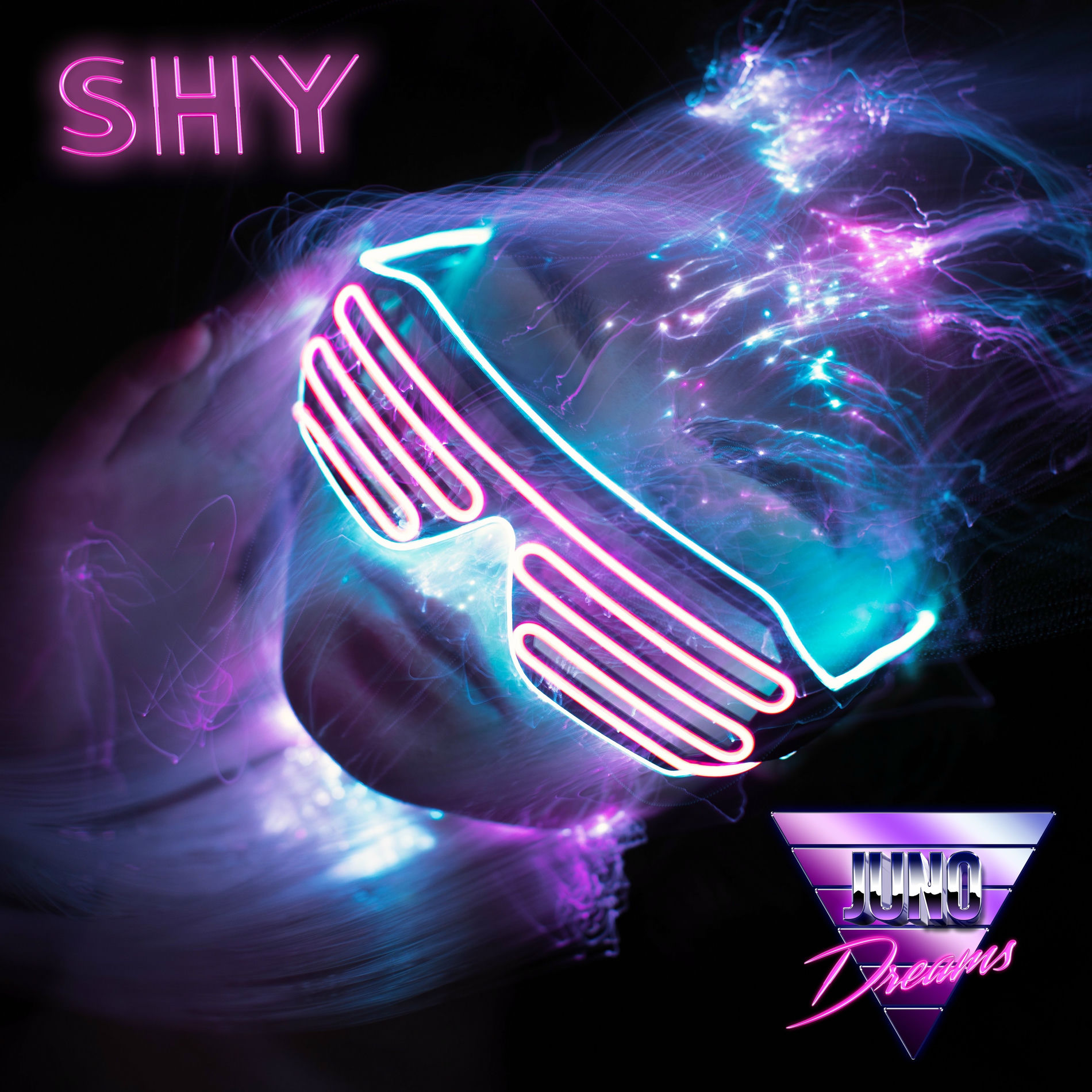 Album cover of Shy