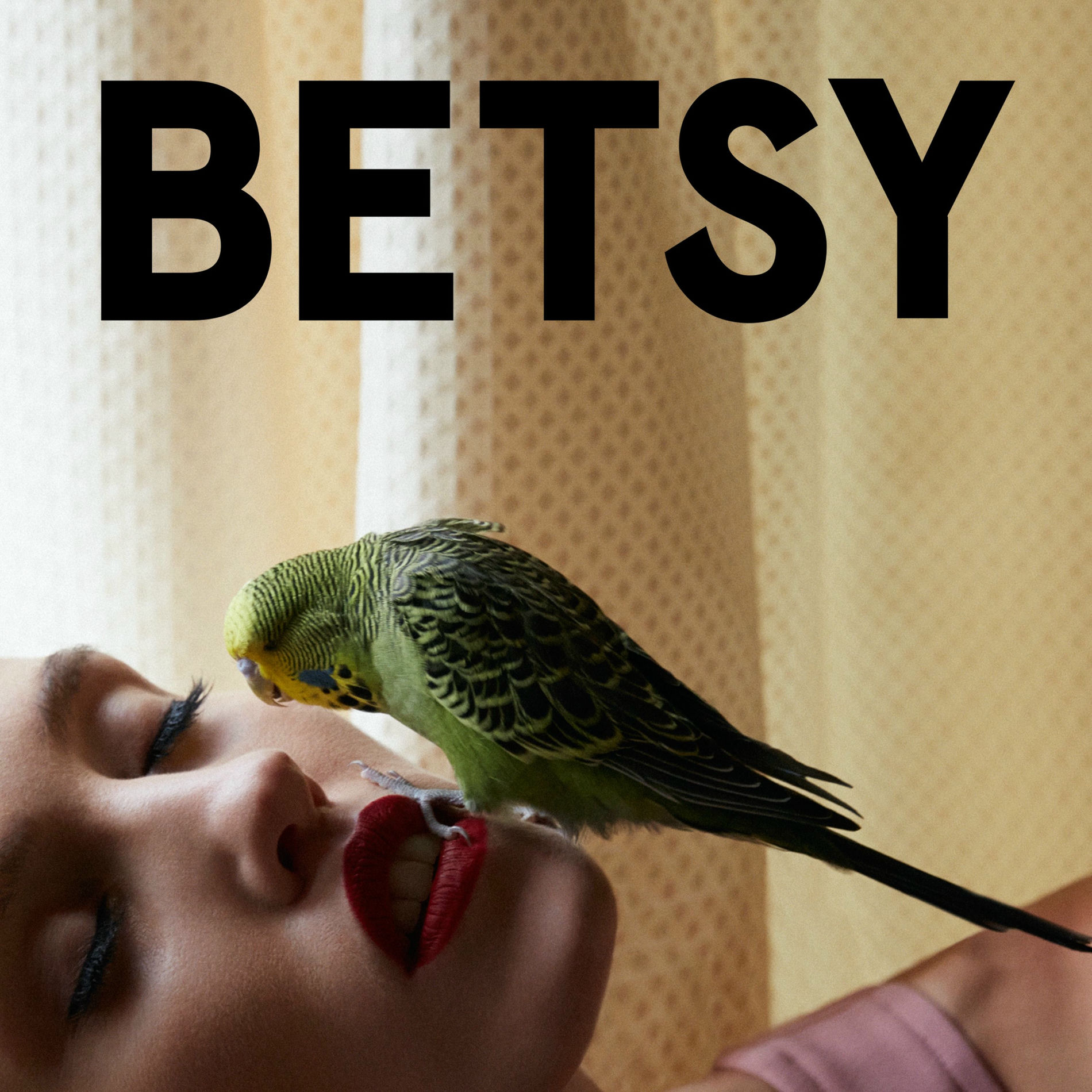 Album cover of Rosie