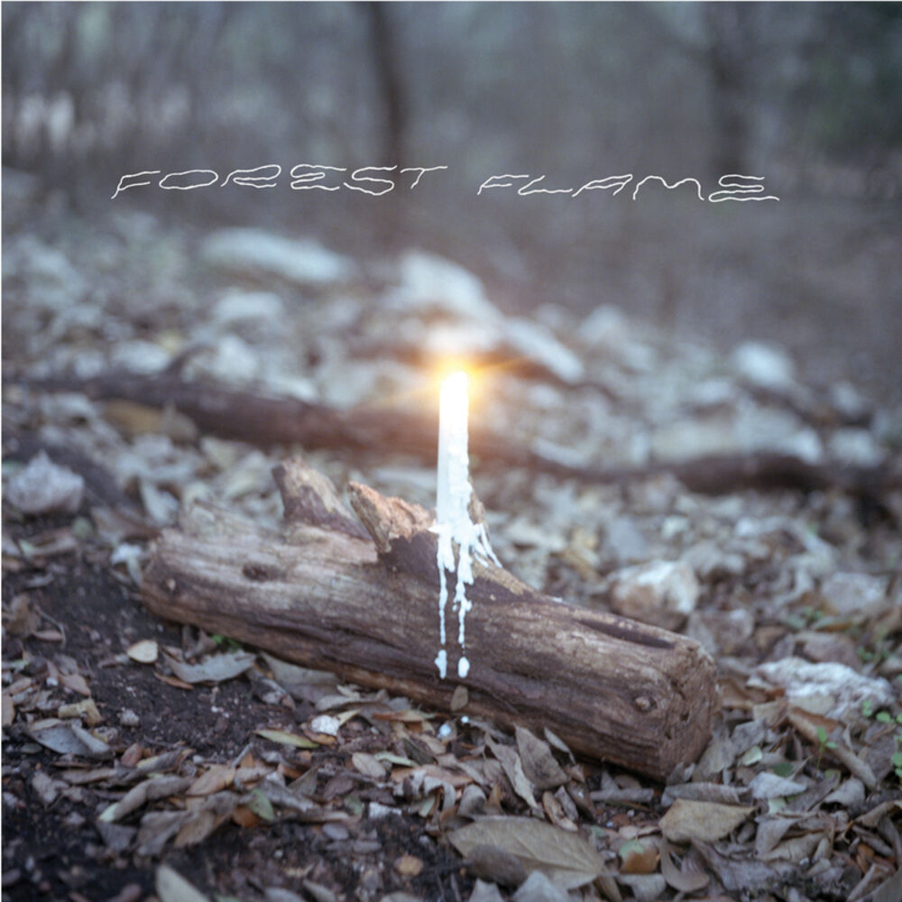 Picture of Forest Flame