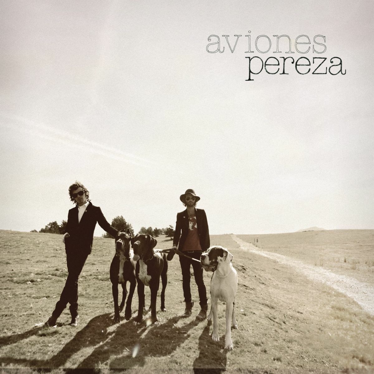 Album cover of Aviones