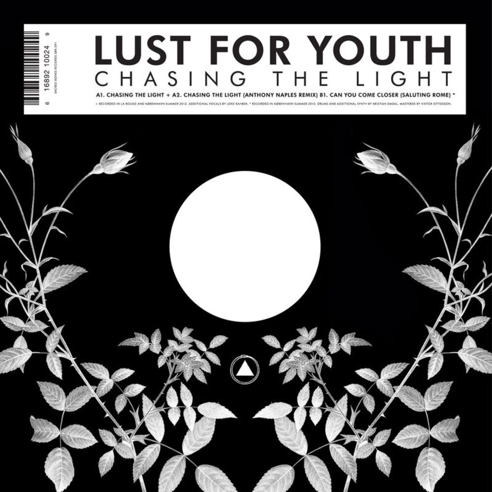 Picture of Chasing the Light