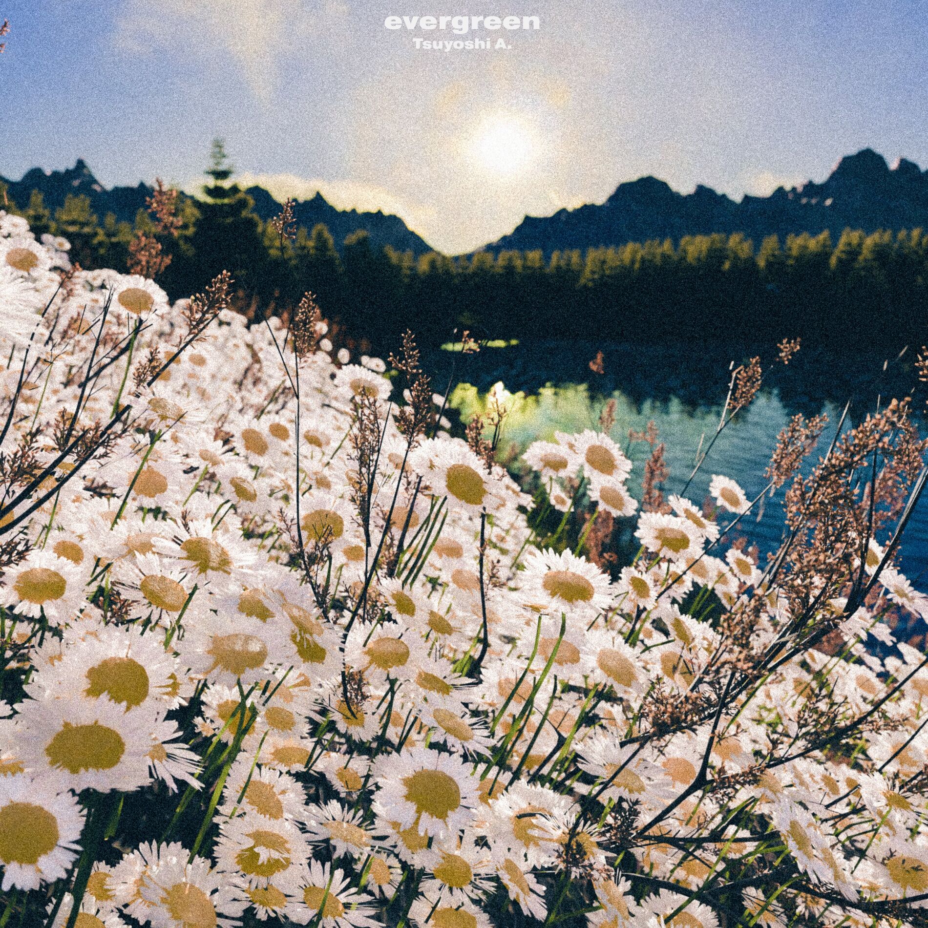 Album cover of evergreen