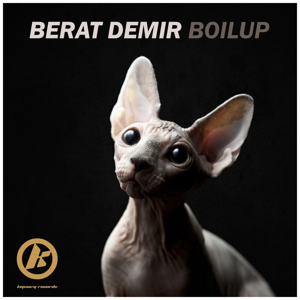 Picture of Boilup