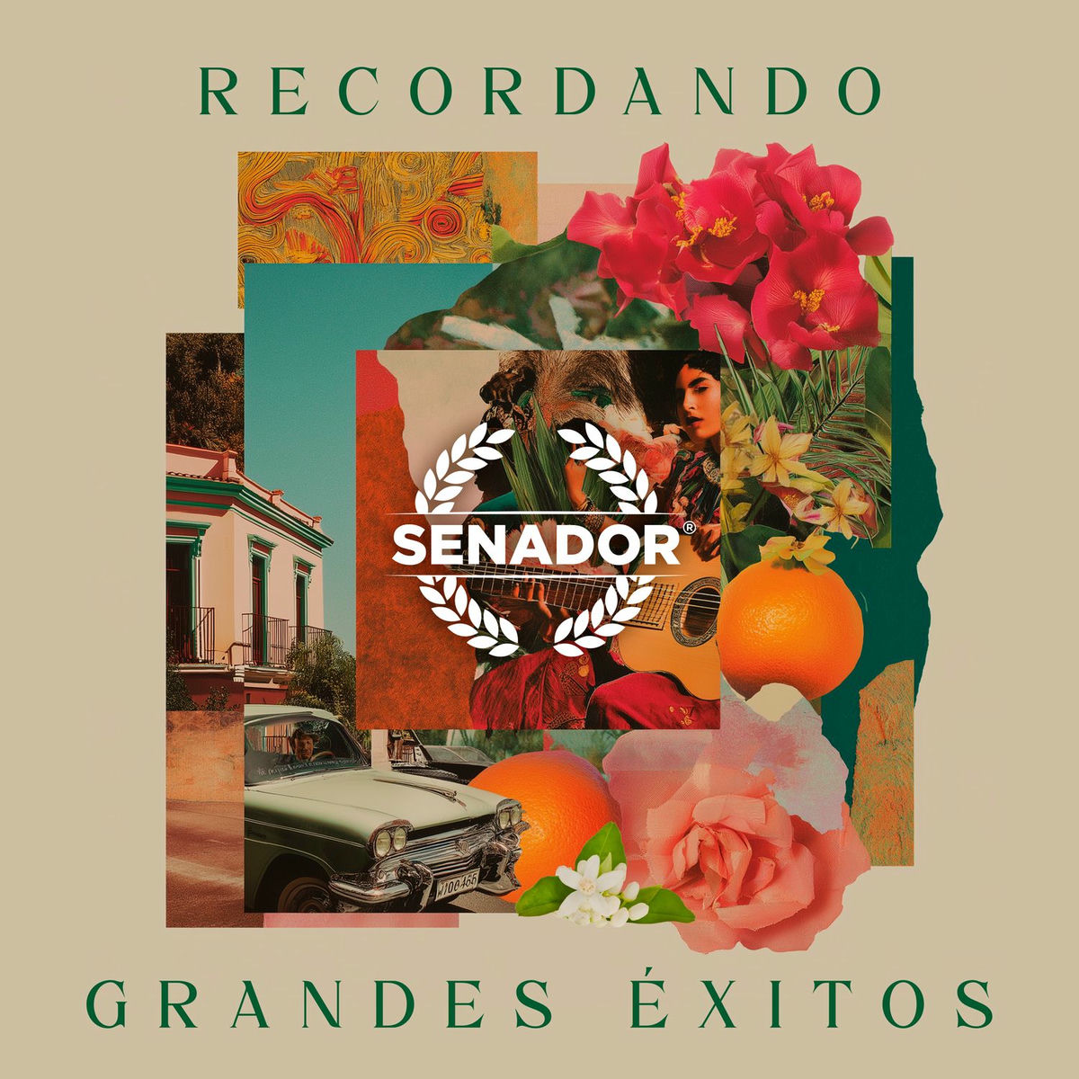 Album cover of Recordando grandes éxitos