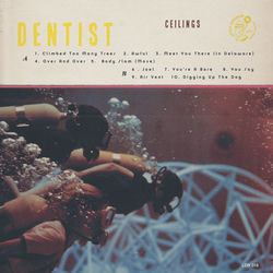 Cover of Ceilings