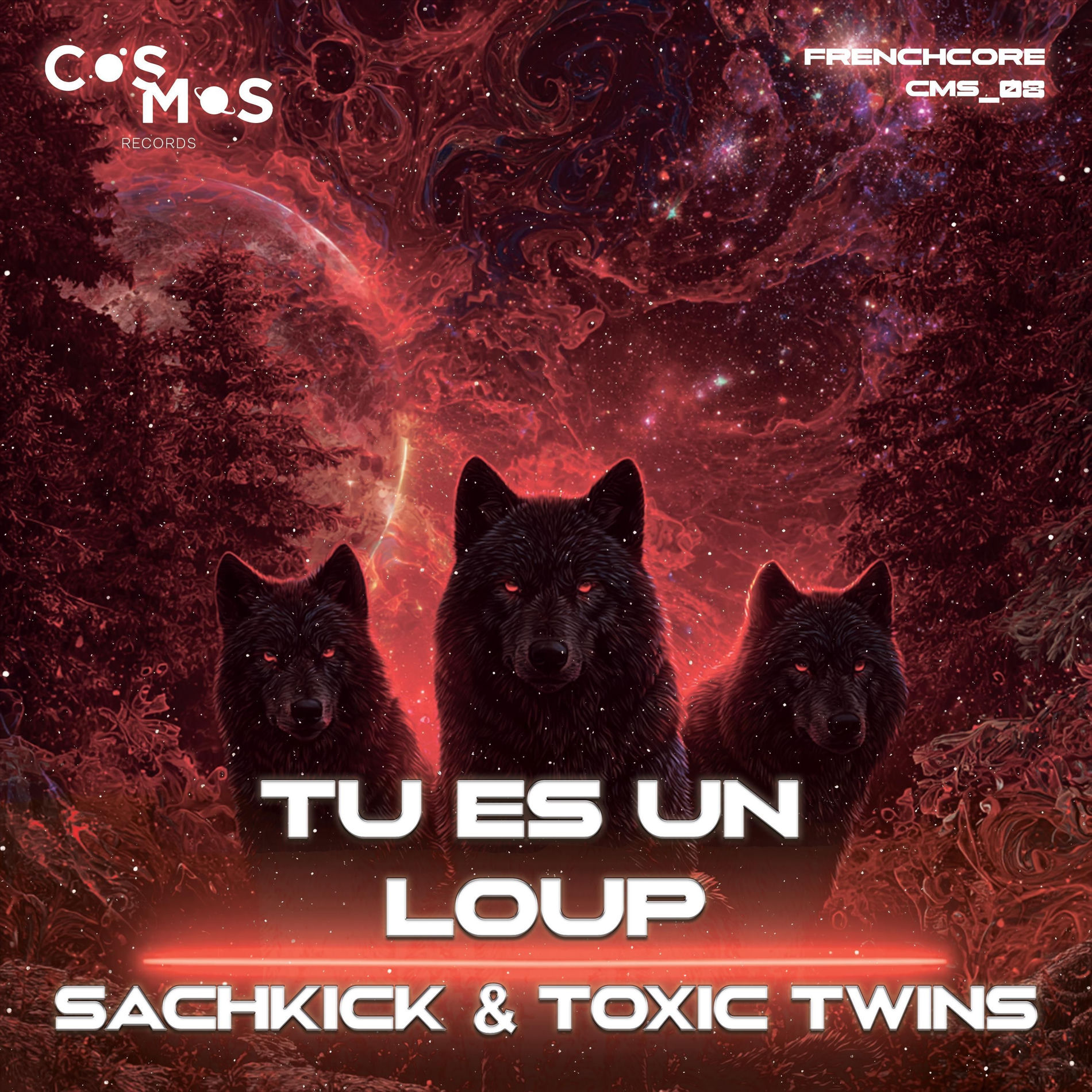 Album cover of Tu es un Loup