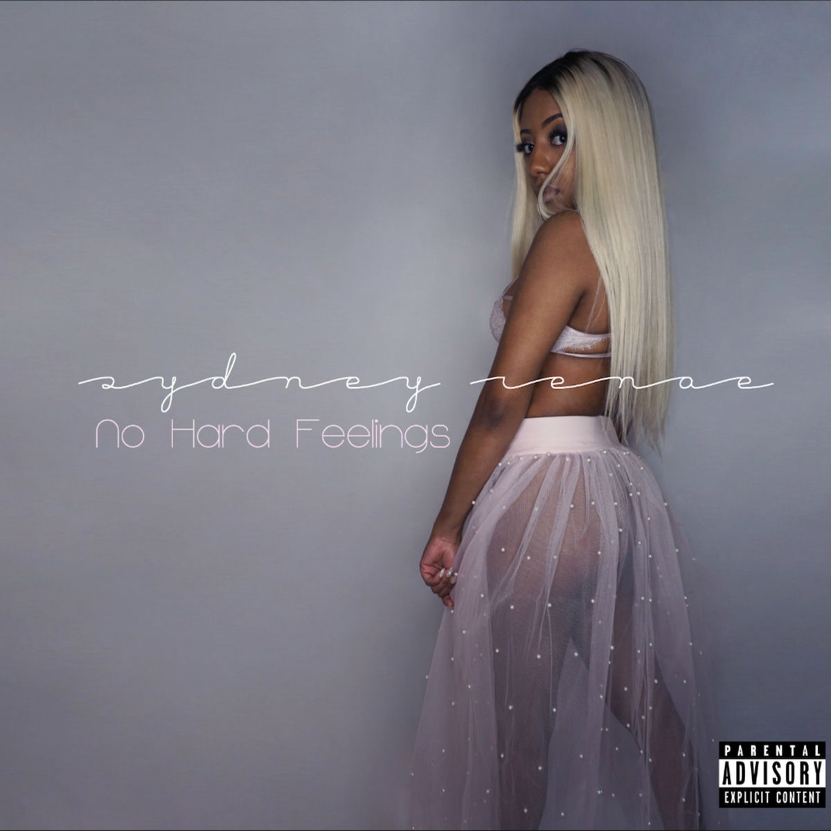 Album cover of No Hard Feelings
