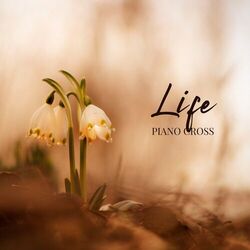 Cover of Life