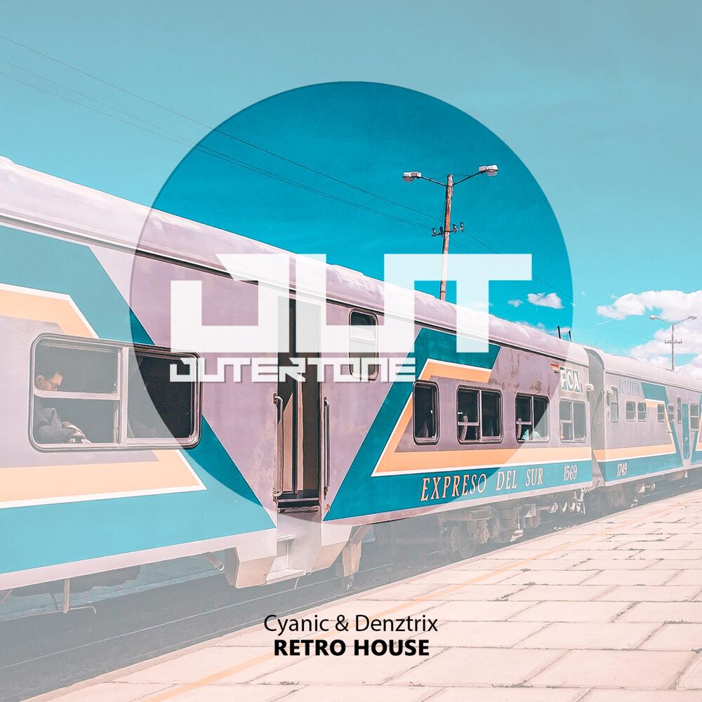Picture of Retro House