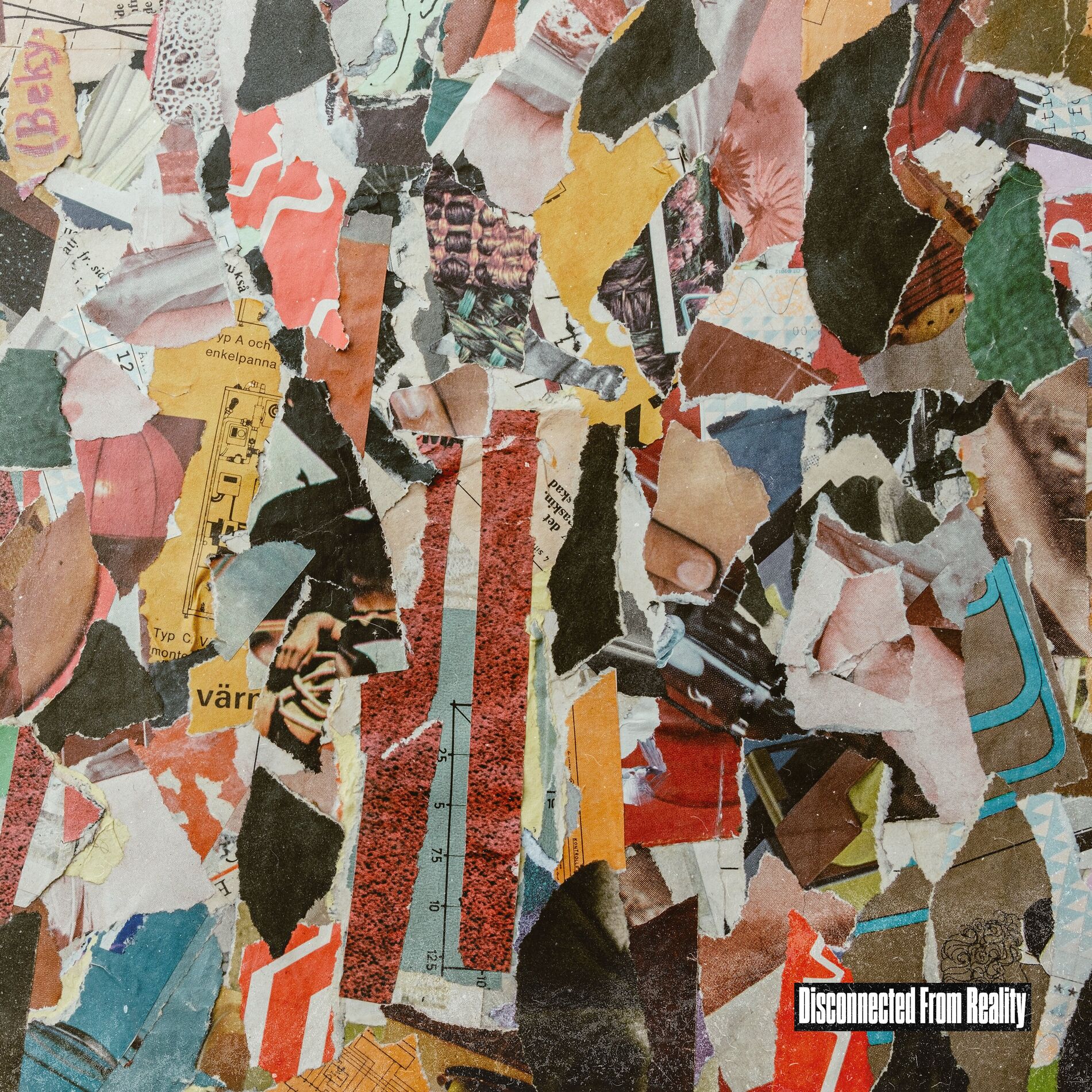 Album cover of Disconnected From Reality
