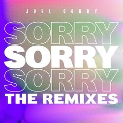 Cover of Sorry (The Remixes) (Pt.2)