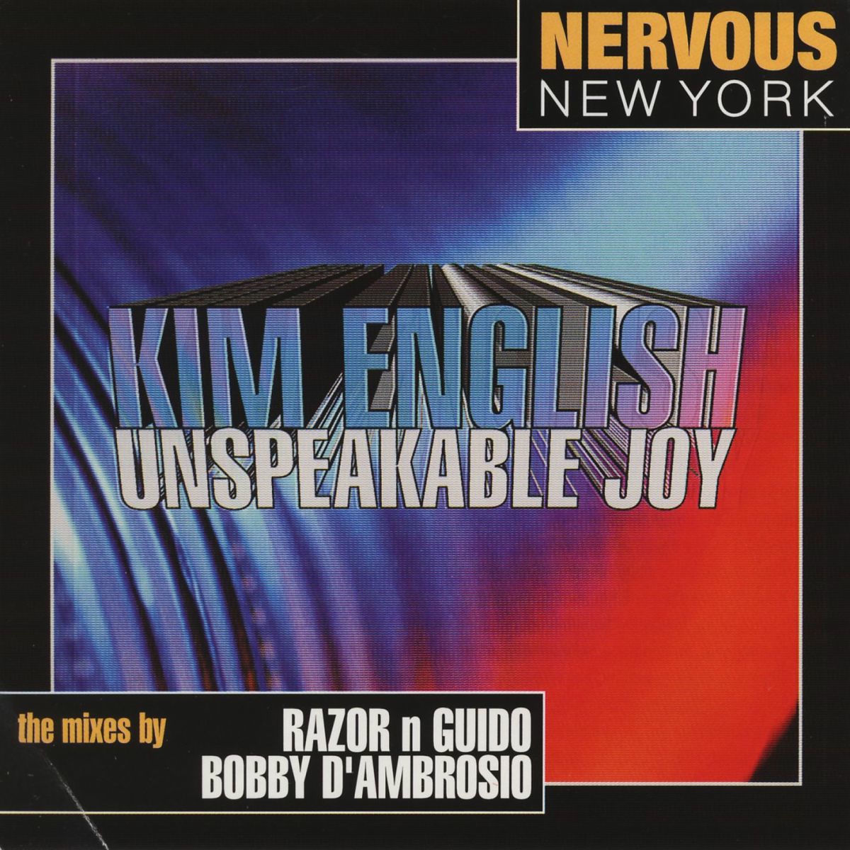 Album cover of Unspeakable Joy (20358)