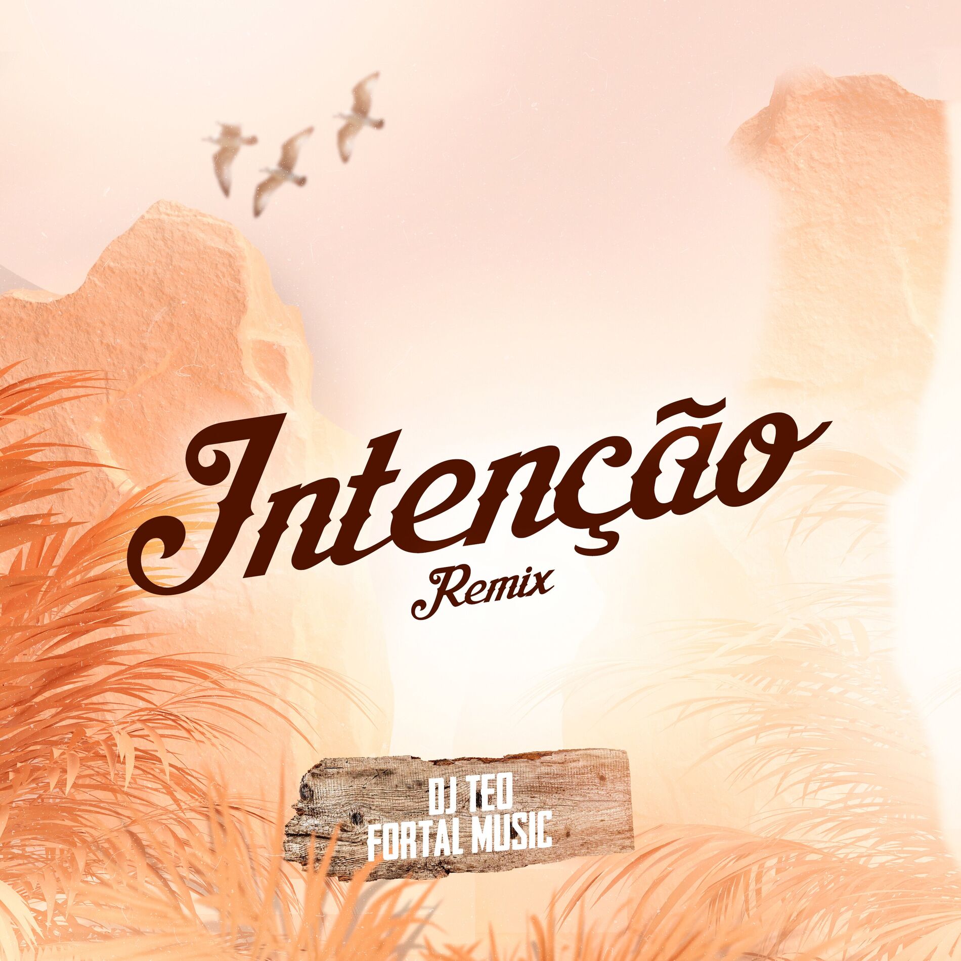 Album cover of Intenção (Remix)