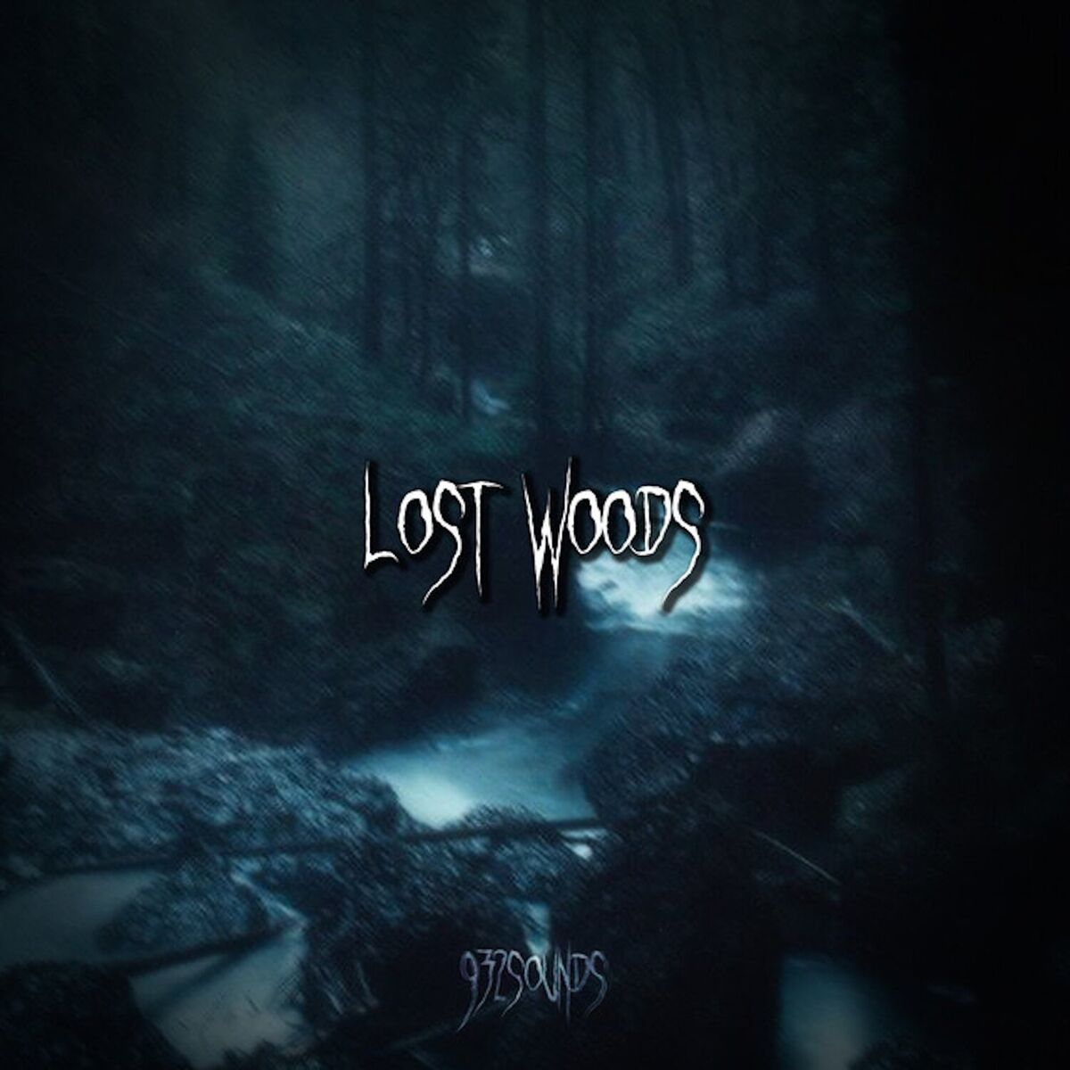 Album cover of Lost Woods