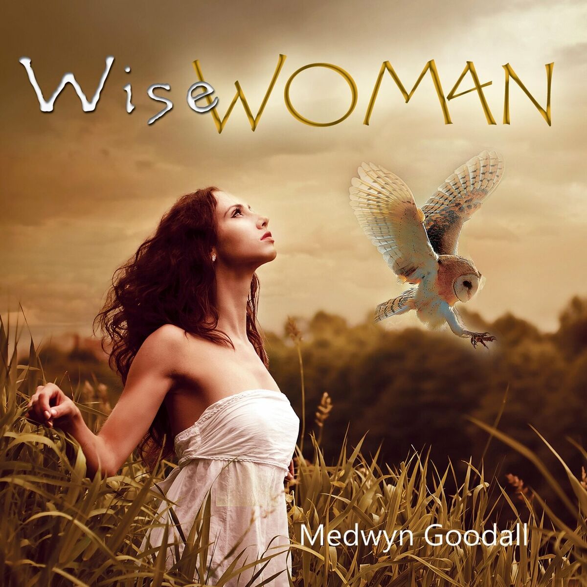 Album cover of Wise Woman