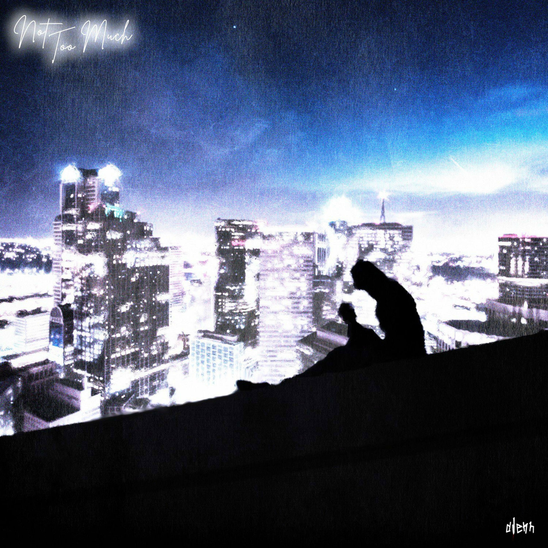 Album cover of Not Too Much