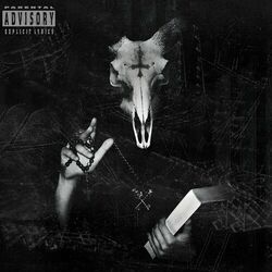 Cover of ritual