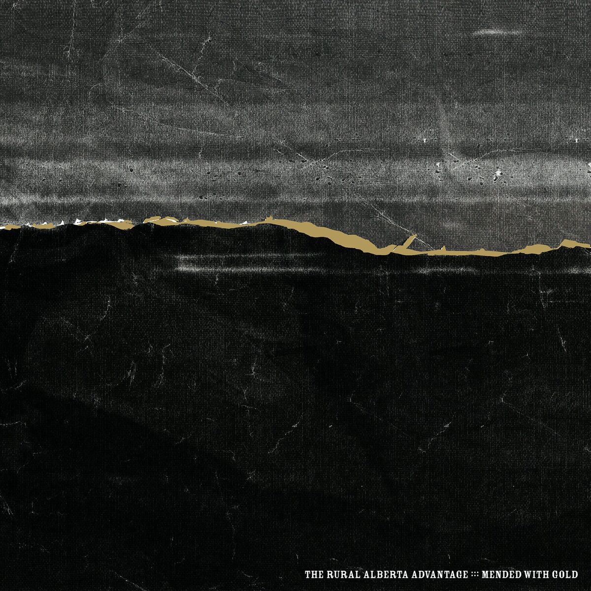 Album cover of Mended with Gold
