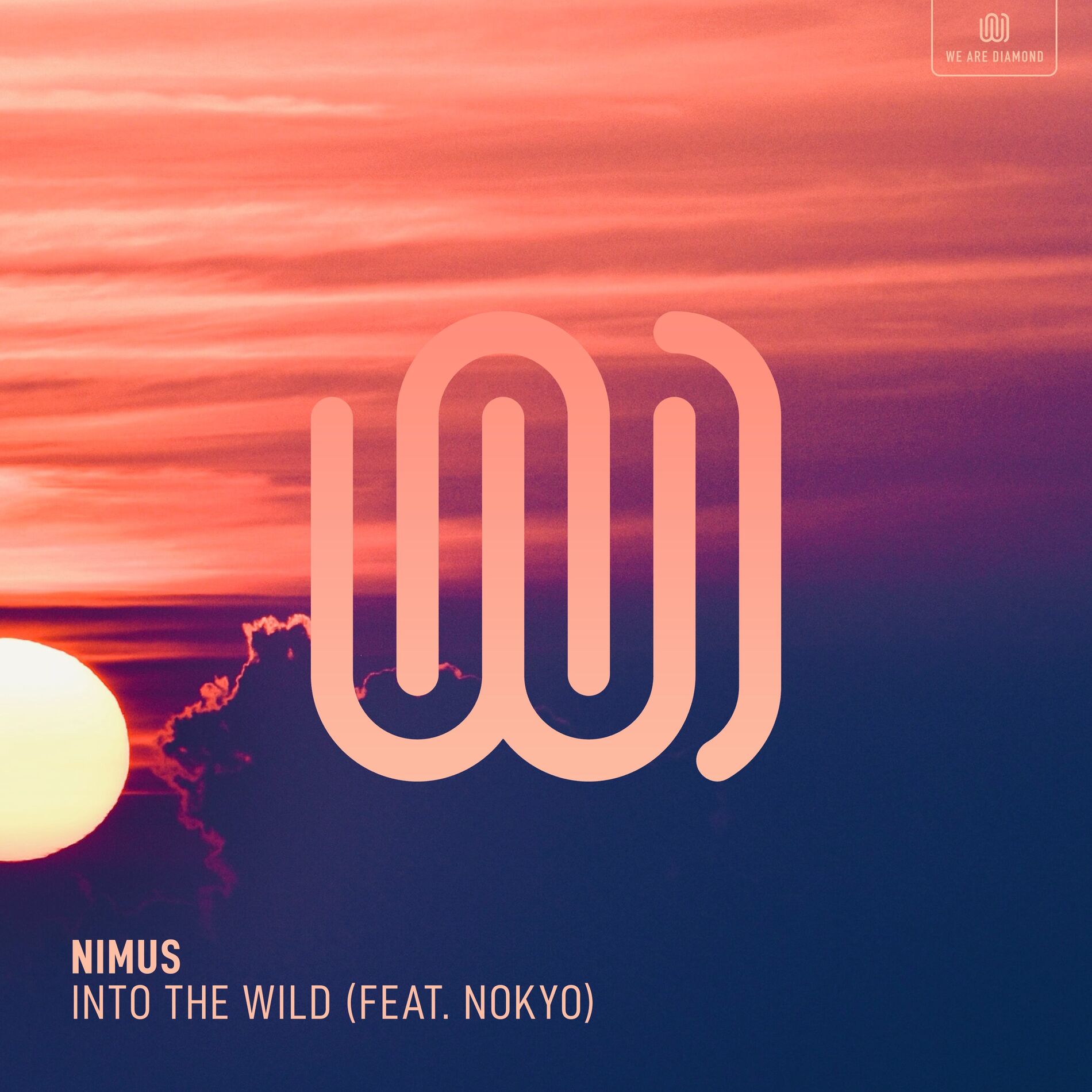 Album cover of Into The Wild