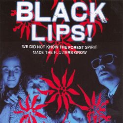 Cover of We Did Not Know the Forest Spirit Made the Flowers Grow