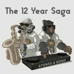 Cover of The 12 Year Saga