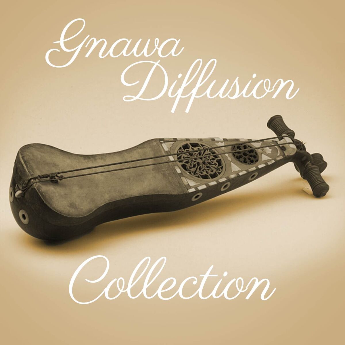 Album cover of L'Auvergnat