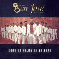 Cover of Como la Palma de Mi Mano
