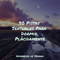 Cover of 50 Pistas Sensuales Para Dormir Plácidamente