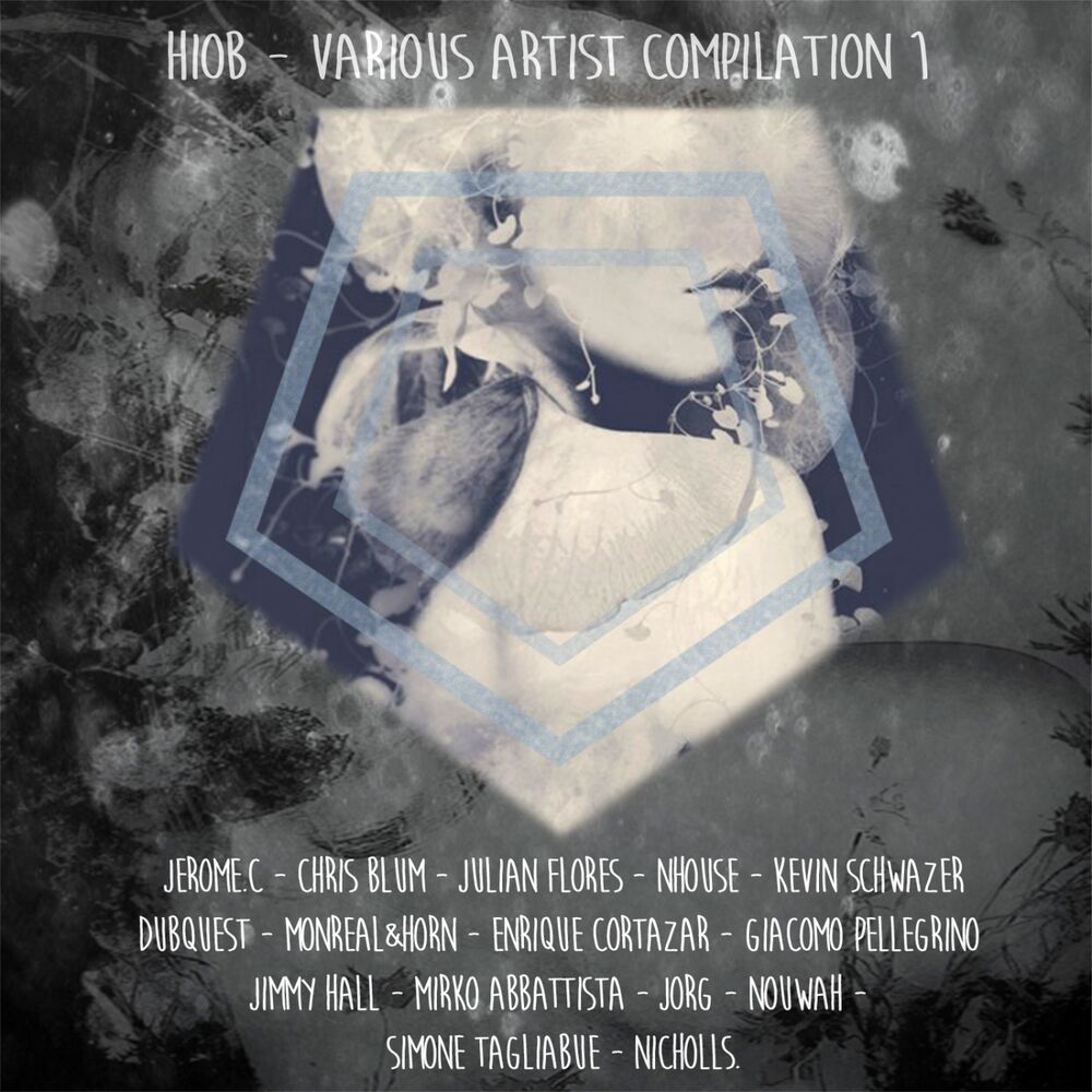 Picture of Various Artist Compilation 1