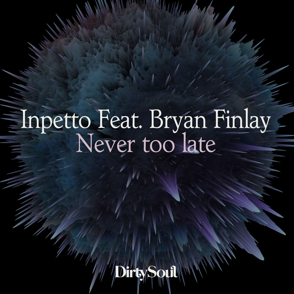 Picture of Never Too Late