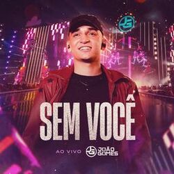 Cover of Sem Você (Ao Vivo)